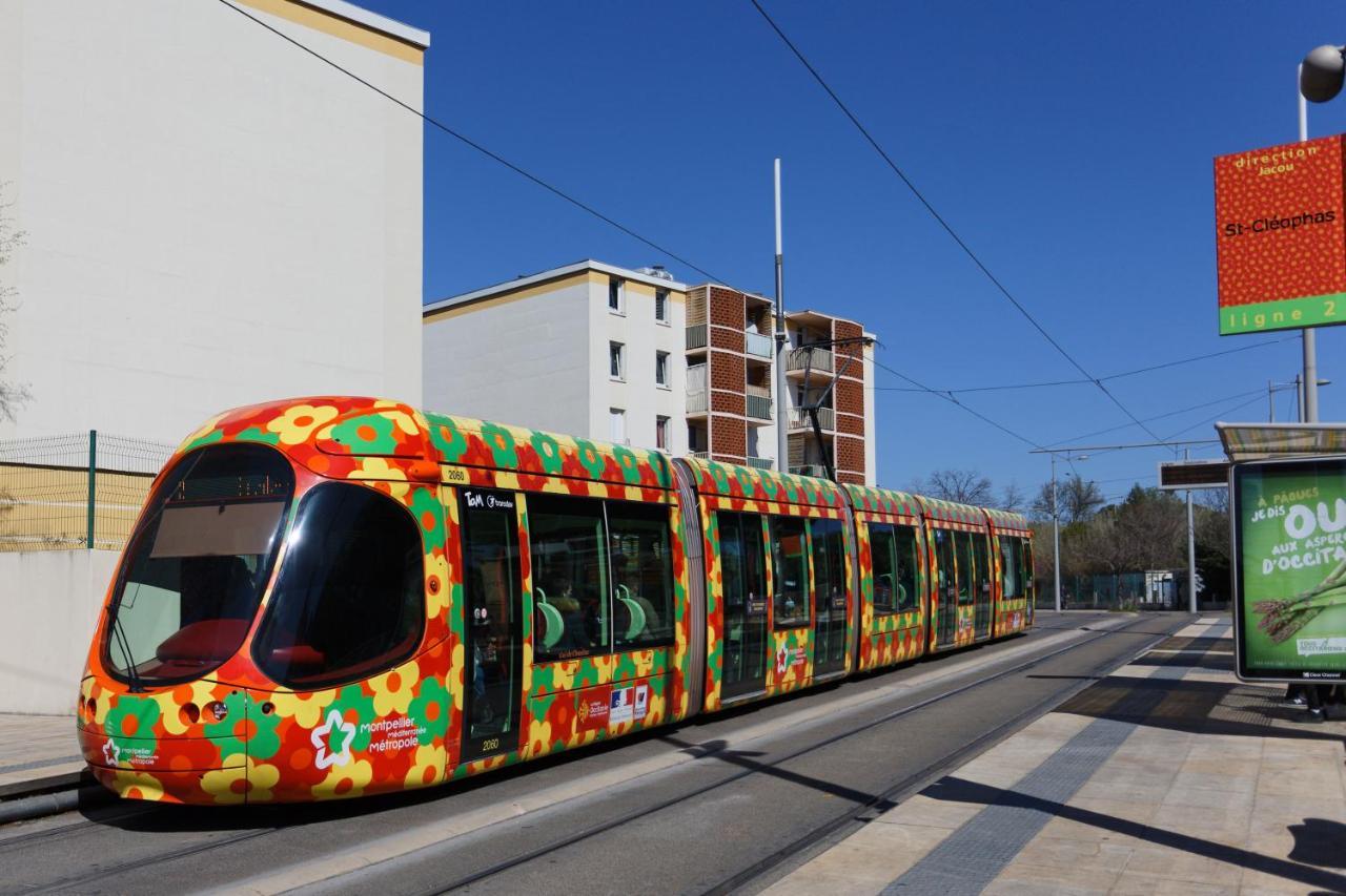 Appartamento Nid Panoramique VUE WOW ! SPAdéco - LoungeZEN - Terrasse ensoleillée - arrivée autonome - Netflix - emplacement idéal - Lumineux - rénové à neuf - Wifi Fibre - Montpellier Esterno foto